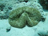 Curacao 04-12 165